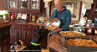 Great Danes help make Canadian Christmas snacks