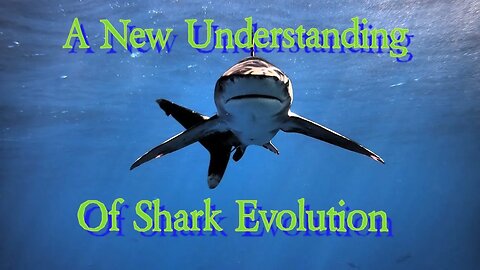 A New Understanding of Shark Evolution