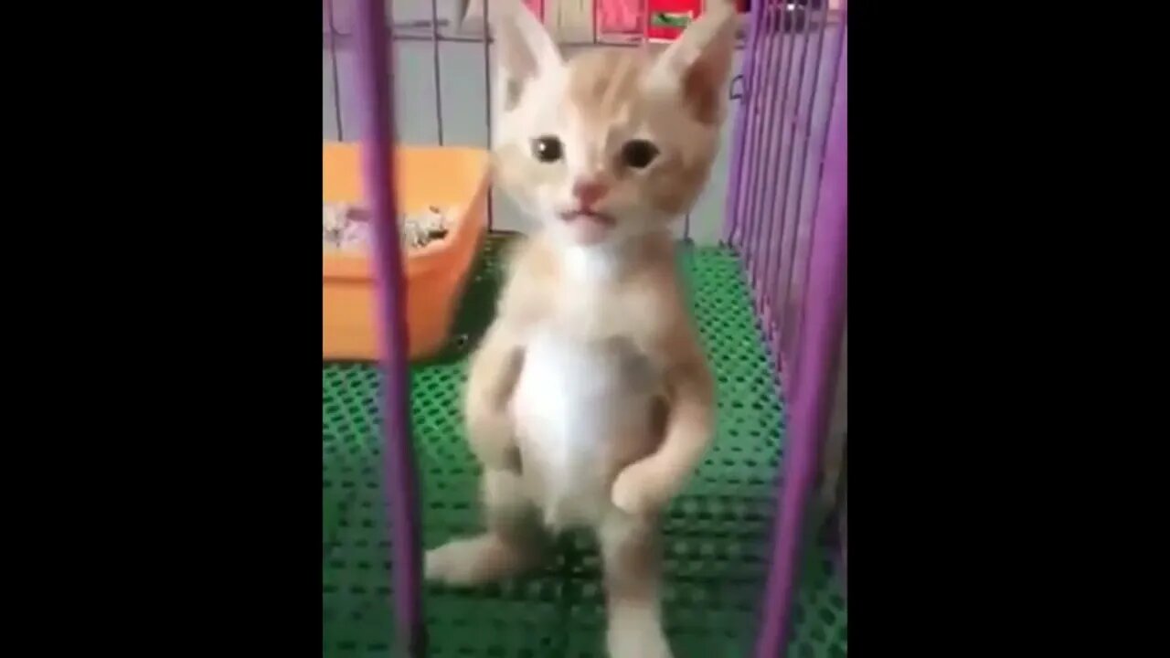 He's standing o-o