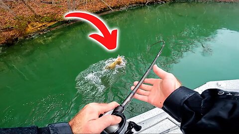 This Lure is the Winter Fishing King (BUT WHY??)