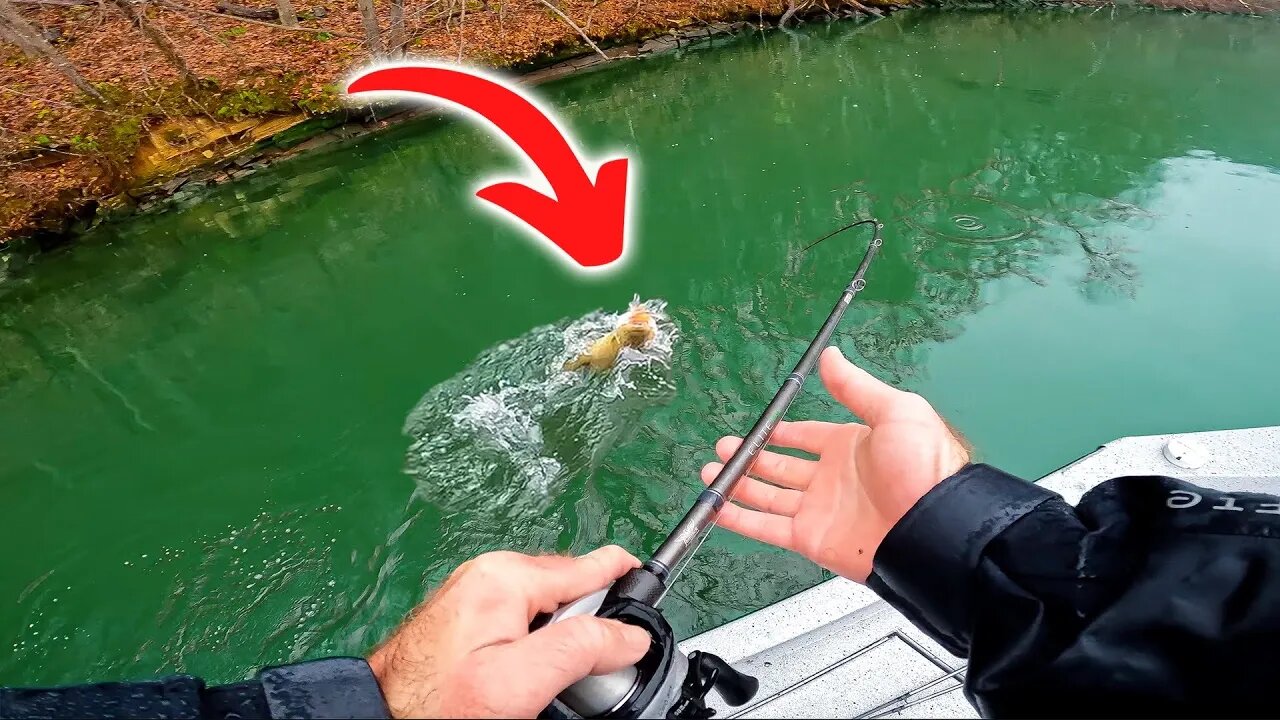 This Lure is the Winter Fishing King (BUT WHY??)