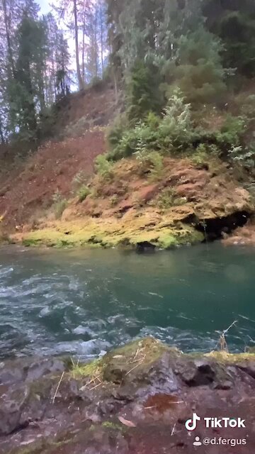 Freeballin for chinook