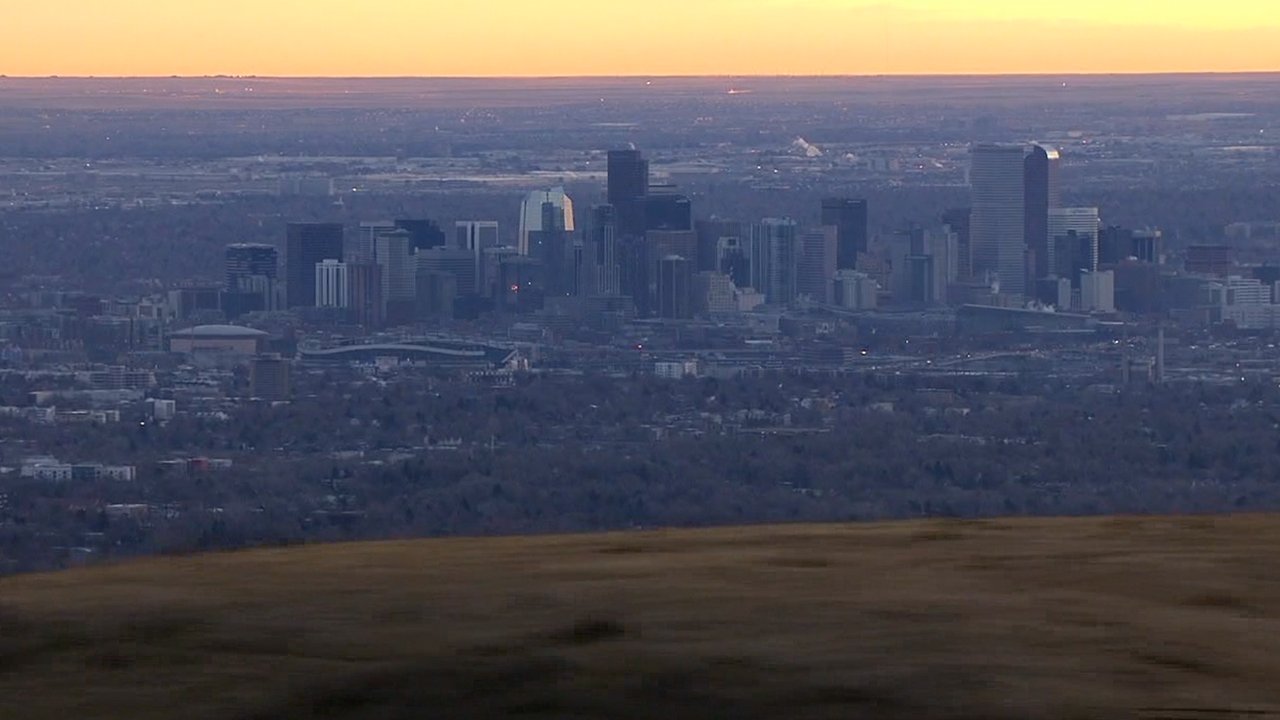 Denver could become the first city in America to decriminalize the use of magic mushrooms