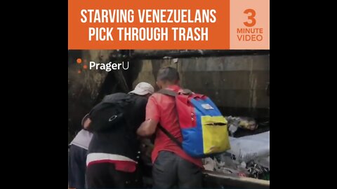 THIS is the result of socialism