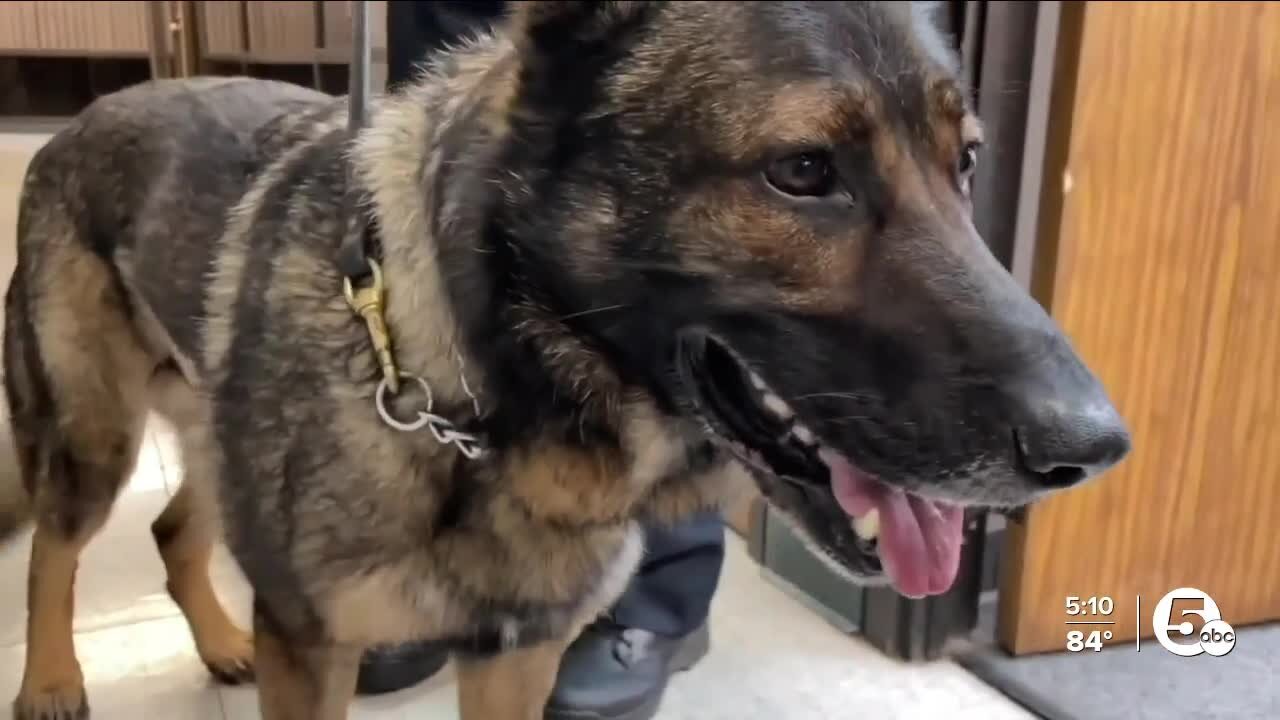 Bedford Heights K9 Bosco back home with former partner after community outcry