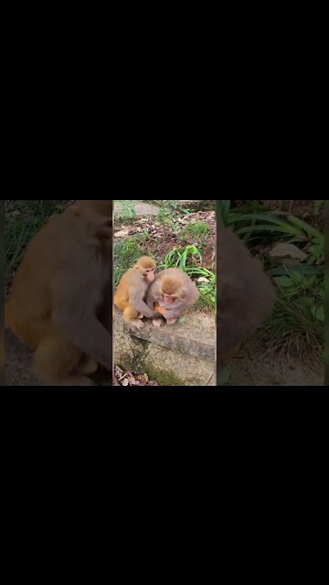 Most Amazing and trending video||relaxing your mind||trendig videos|| #shorts #trending #viral #live