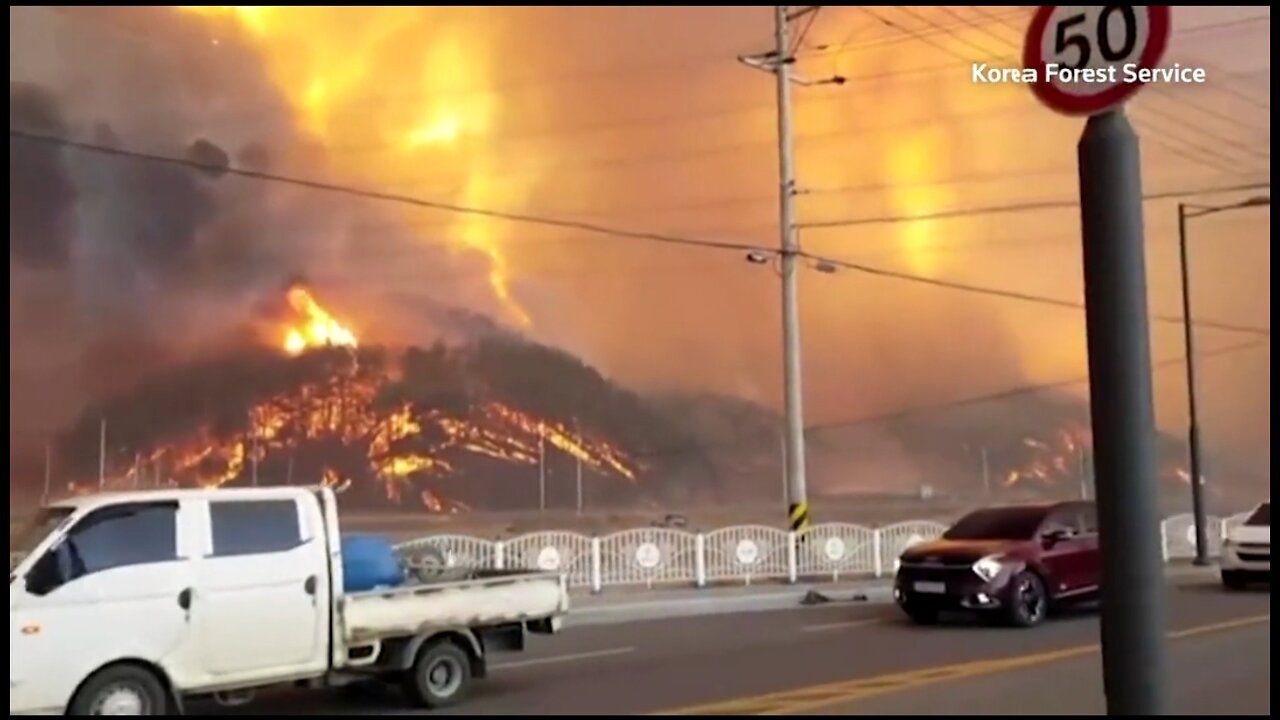 Huge Wildfire Burns Near Nuclear Power In South Korea