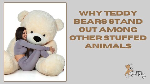 Why Teddy Bears Stand Out Among Other Stuffed Animals