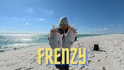 Winter Pompano FRENZY