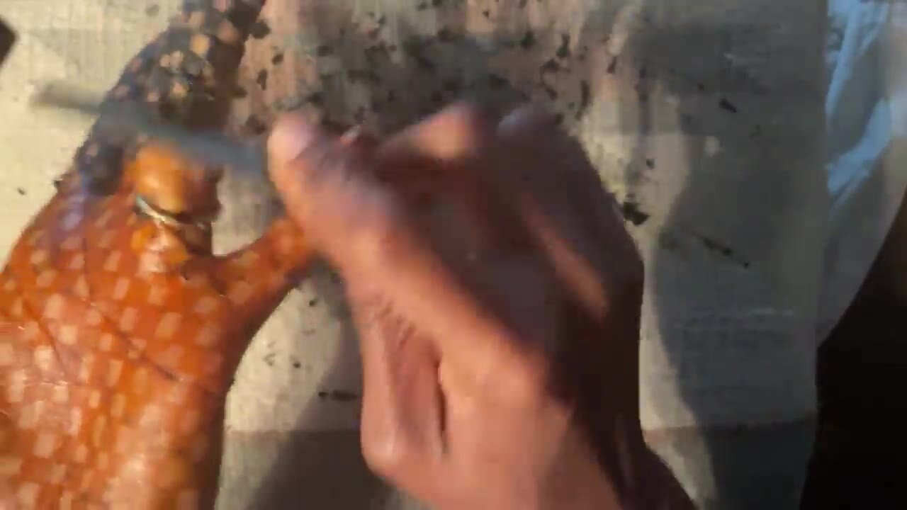 Bonus - Scraping Draped Design Pt. 2