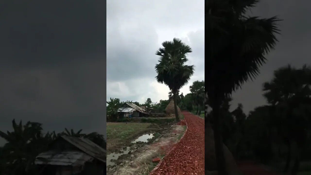 তরমুজ চাষিদের নিয়ে কিছু কথা বল্লাম আশা করি সাবাই কথা গুলো বুজবেন।