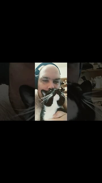 Cat wants attention #shortsfeed #catlike #shortsvideo #cat #youtubeshorts #catvideos