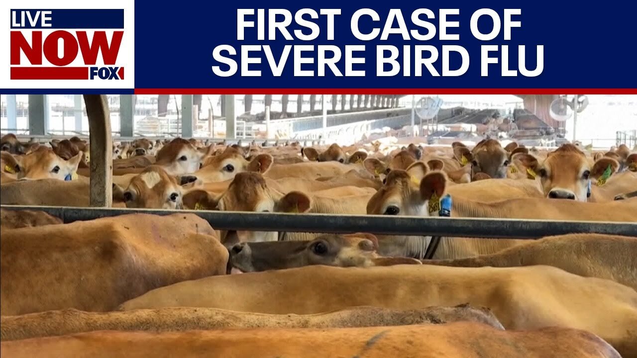 CA declared an emergency, how serious is bird flu? | LiveNOW from