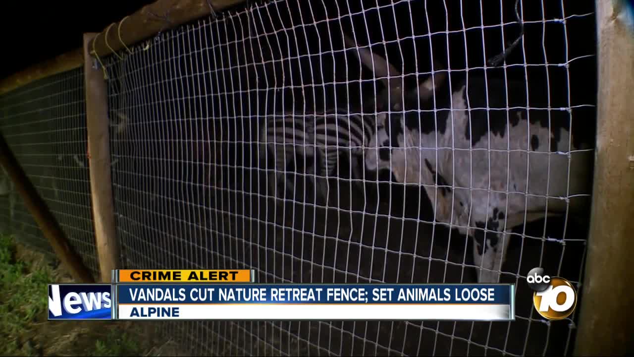 Vandals cut nature retreat fence; set animals loose
