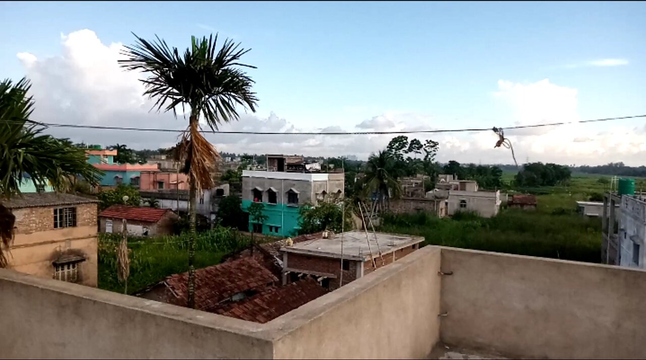 Nature Views Video