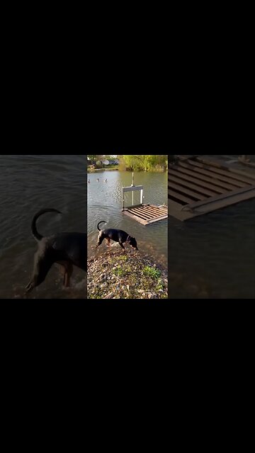 Too cold for a swim.