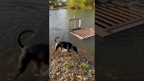 Too cold for a swim.