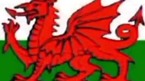 The Red Dragon Bloodline PT 1