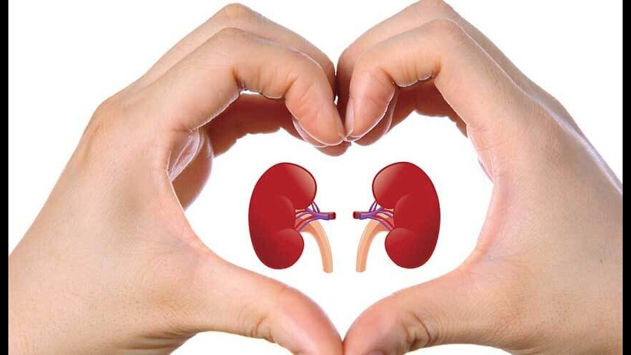 How to Detox, Cleanse & Repair Your Kidneys?