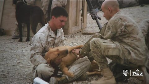Dogs 2 Dogs Tags: Sheboygan Falls groups helps veterans