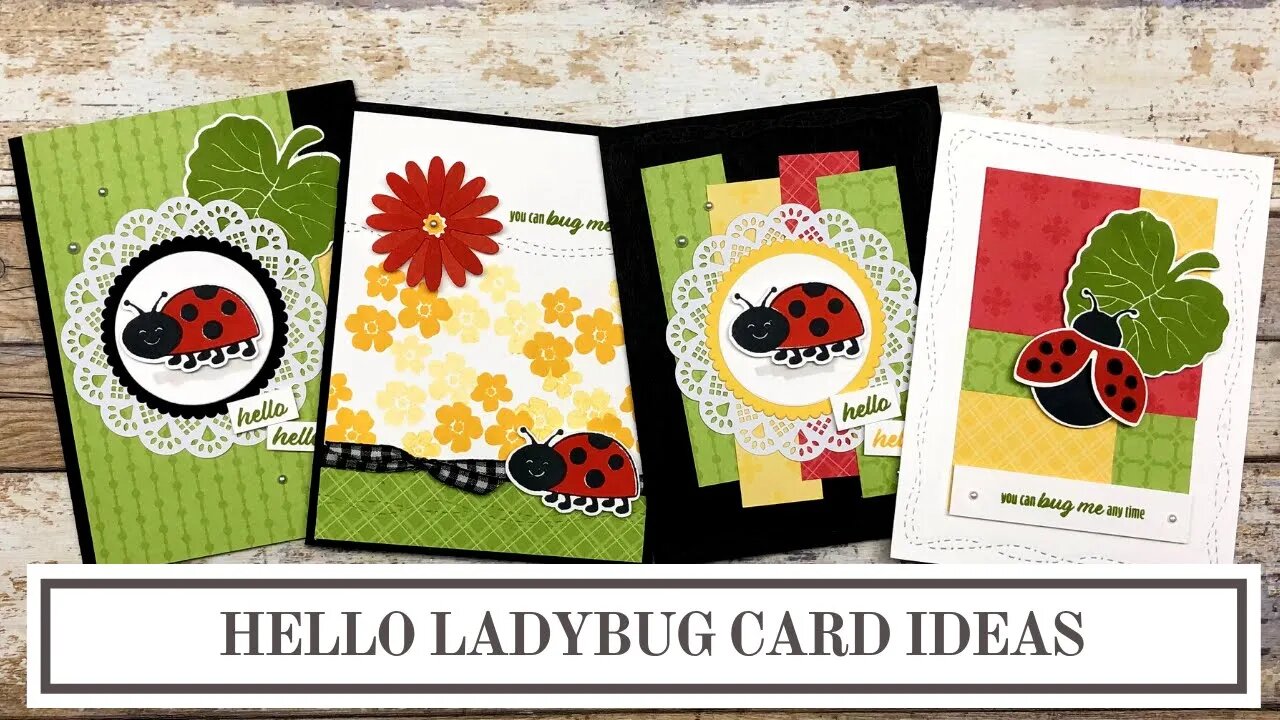 Hello Ladybug Card Ideas