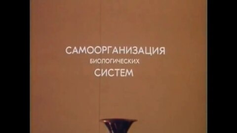 Самоорганизация биологических систем