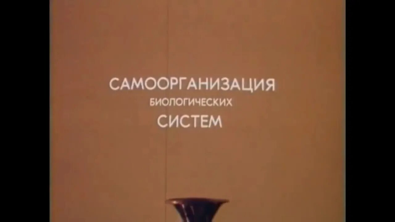 Самоорганизация биологических систем