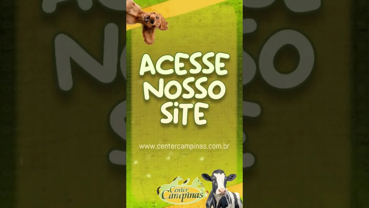 Arte animada para redes