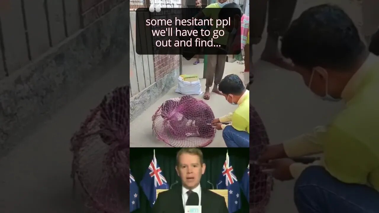 New Zealand PM gonna find you #nonsense #zoobox #shorts #dogs #tyranny