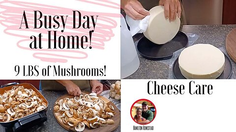 A Busy Saturday: Prepping Mushrooms, Making Sausage Herb Stuffing, Packaging Cheese, Eucalyptus Oil