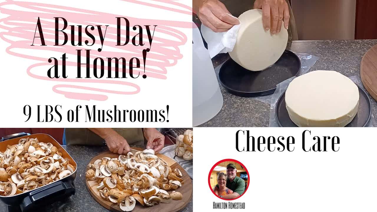 A Busy Saturday: Prepping Mushrooms, Making Sausage Herb Stuffing, Packaging Cheese, Eucalyptus Oil