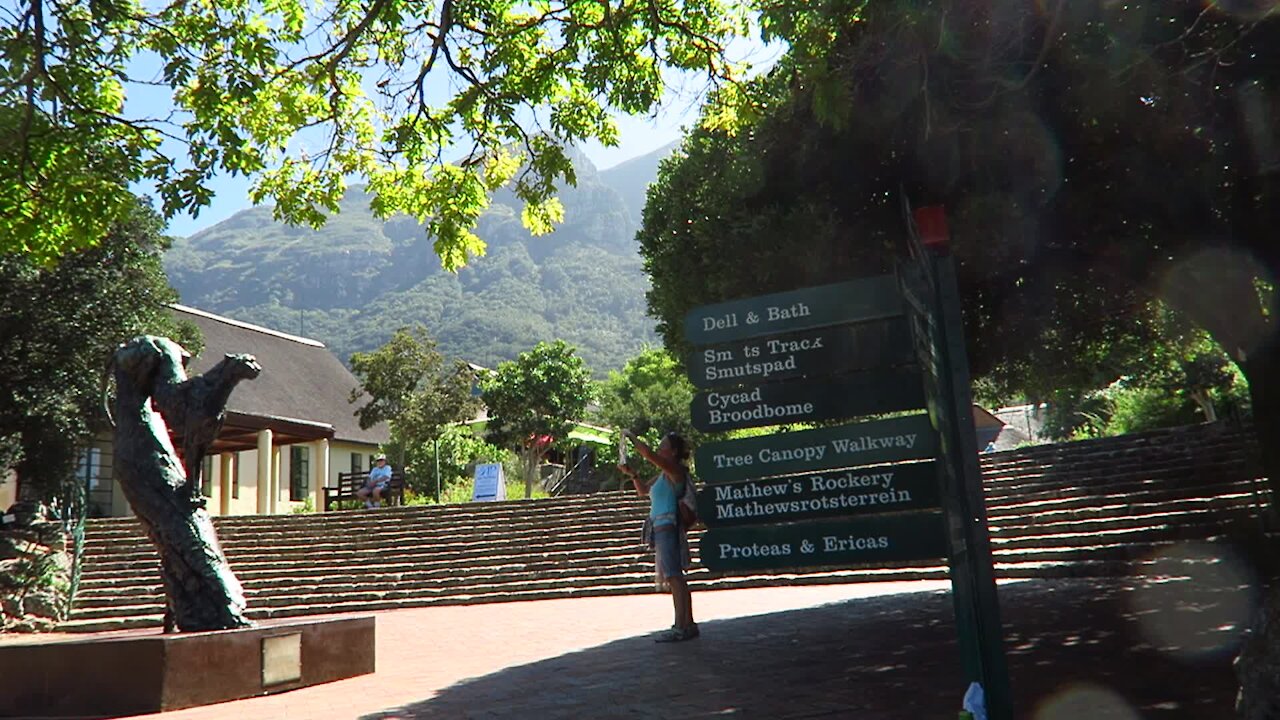 SOUTH AFRICA - Cape Town - Kirstenbosch National Botanical Garden (Video) (Wdx)