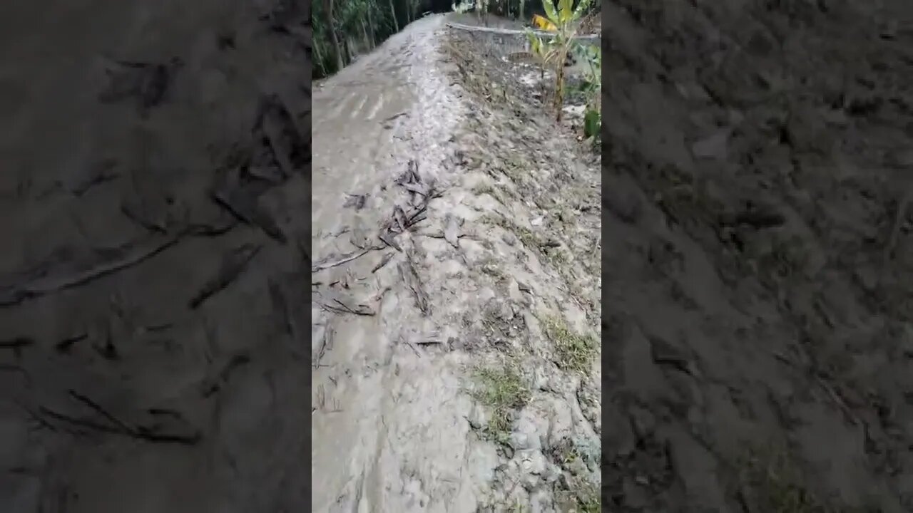 গ্রামের অবস্থা বৃষ্টি এলে। আমার তো ভালোই লাগে