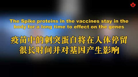 疫苗中的刺突蛋白将在体内停留很长时间，并会对基因产生影响！