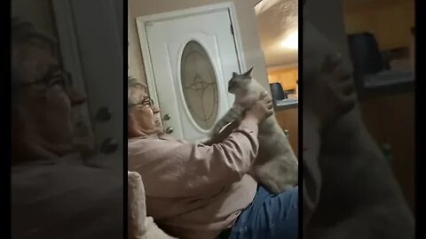 What A Great Dad TikTok esmecastilleja0