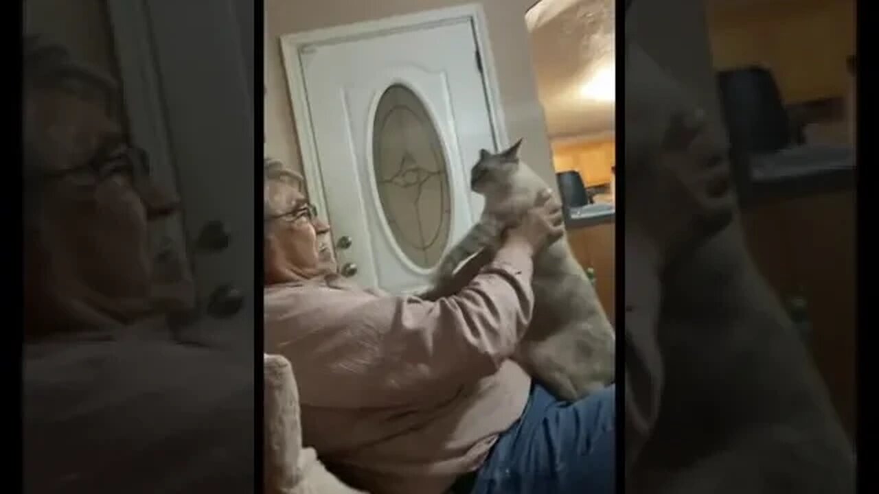 What A Great Dad TikTok esmecastilleja0