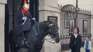 Touching the Reins #horseguardsparade