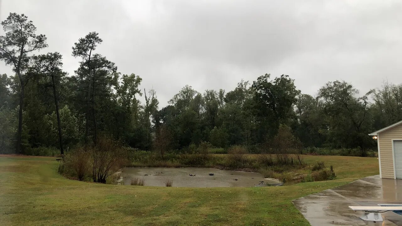 Live: Tropical Storm #Ian approaching NC (silent w/ chat)