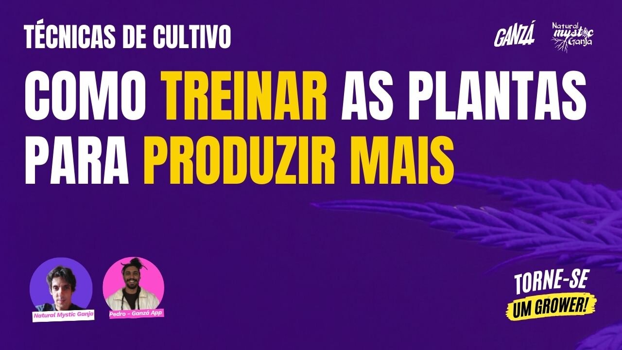 Técnicas de cultivo - Como treinar as plantas Para produzir mais