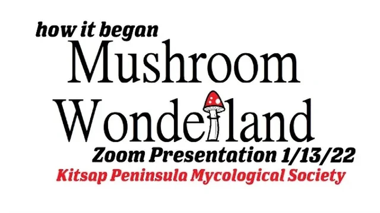 Mushroom Wonderland at the Kitsap Peninsula Mycological Society Meeting- 1/13/2022 Zoom Presentation