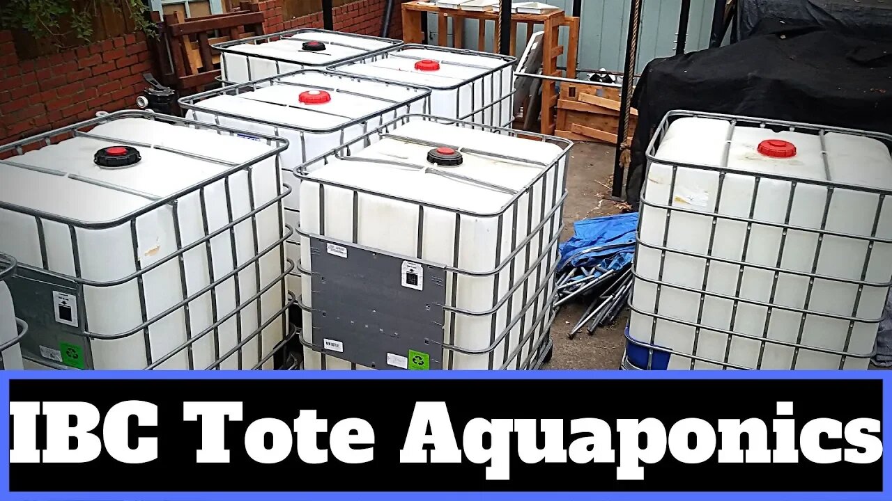 Aquaponic system Renovation part 4 getting the ibc totes - (hybrid aquaponic system)