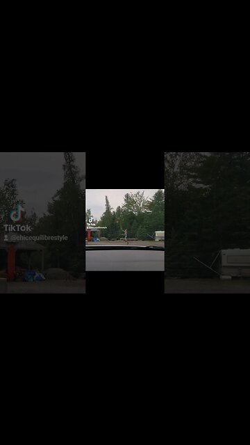 #specialshows #halfcourtshot #basketball #hooper #ytshorts #ytshortscanada #shooting