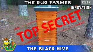 Top Secret | Hidden Compartment Beehive Tool Cabinet