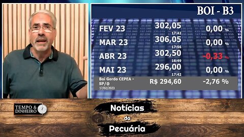 Boi gordo firme e confiante nos resultados da falsa vaca louca no Pará