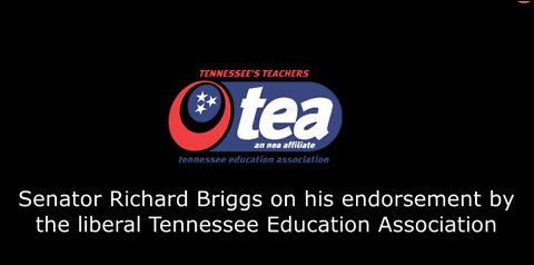 Briggs on Teacher's Union Endorsement