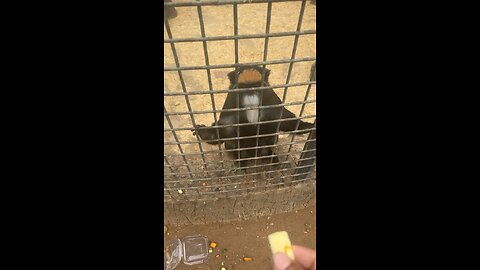 When you try to feed a money but he wants your phone 🤣