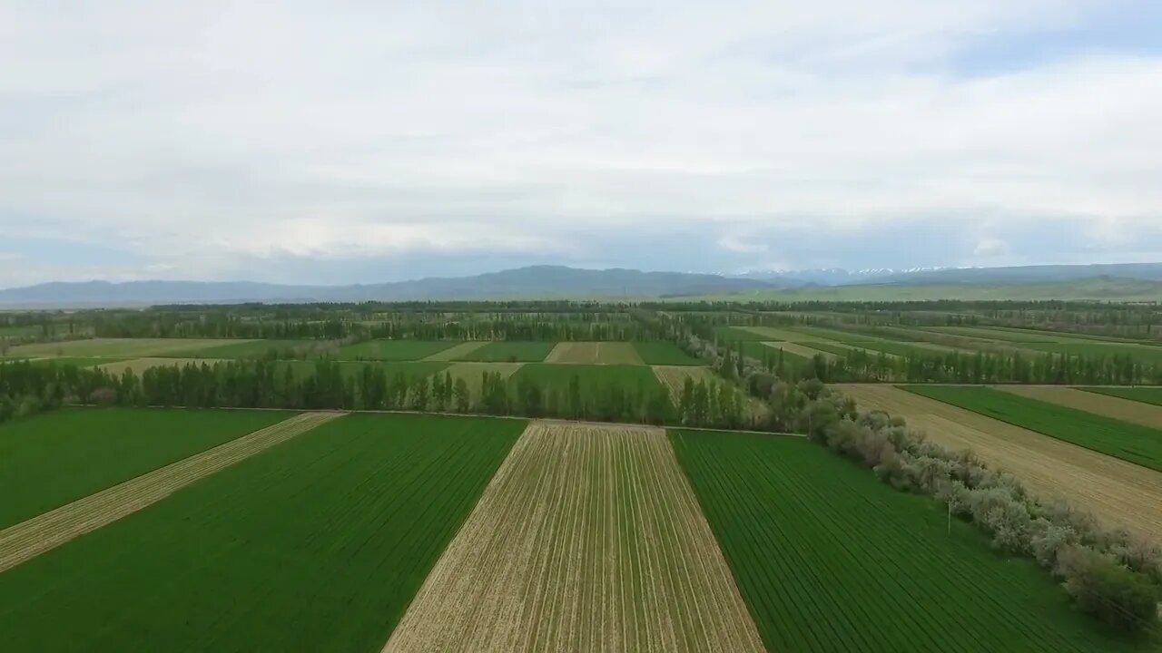Natural cultural scenery comfortable mood to share with you