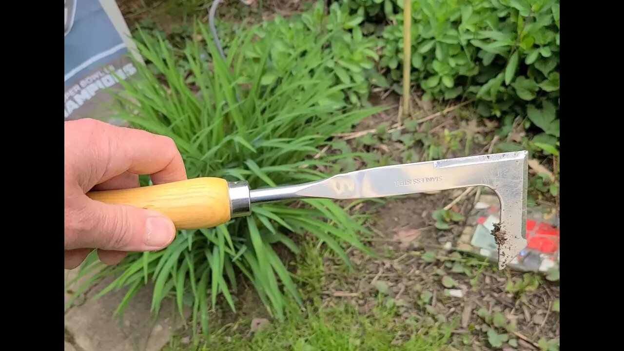 KLDOLLAR Crack Weeder - Great for decks, blocks, cobblestone, driveways, etc