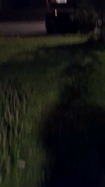 You're a fucking loser...