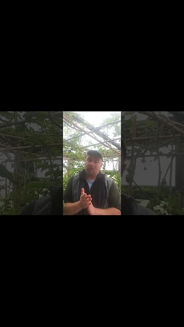 Christmas Free Stuff